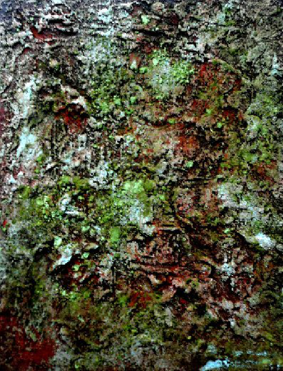 Bild Terra 2009.2