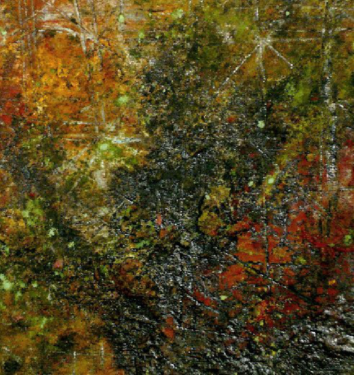 Bild Terra 2009.3